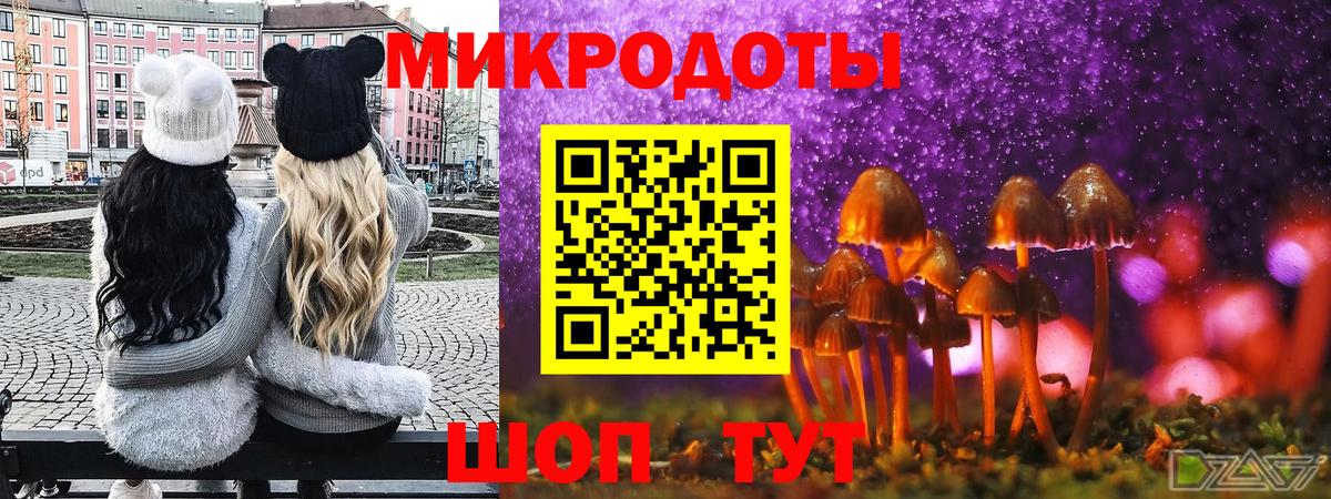 закладка  Галлюциногенные грибы мицелий  Галлюциногенные грибы Psilocybine cubensis  Вход с VPN  Туймазы 