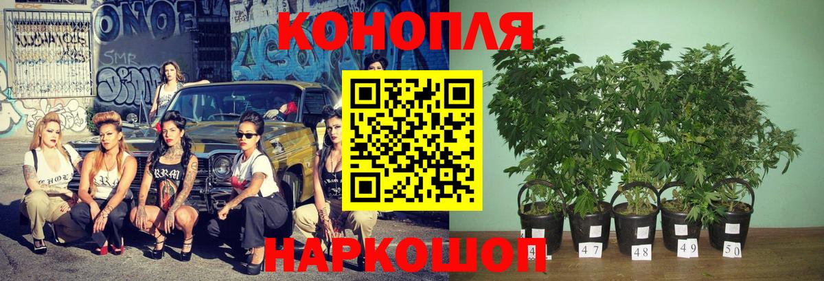 МАРИХУАНА White Widow  МАРИХУАНА гибрид  Бошки марихуана семена  Вход с VPN  Туймазы 